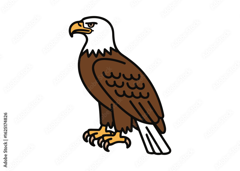 Fototapeta premium Bald Eagle Vector Illustration, Bald Eagle Icon