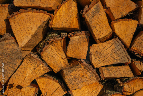 pile of firewood