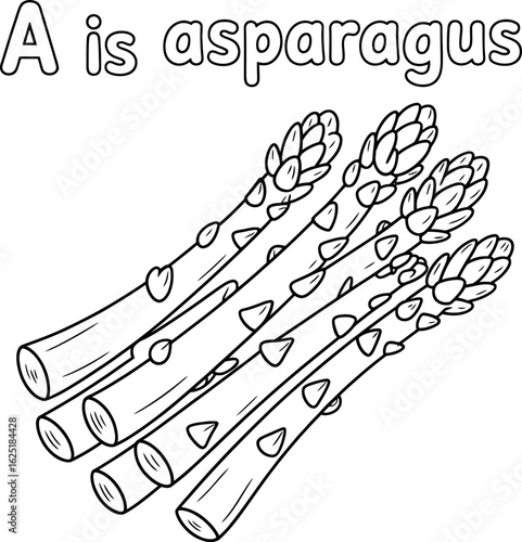 Asparagus illustration for coloring book isolated on white background