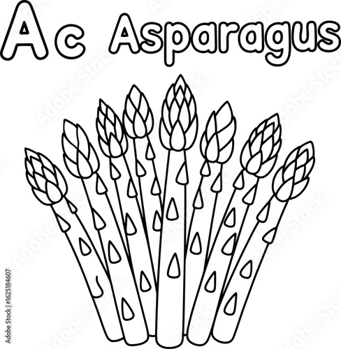 Asparagus illustration for coloring book isolated on white background