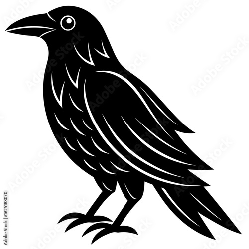 Conceptual Vector Design of Crow 1