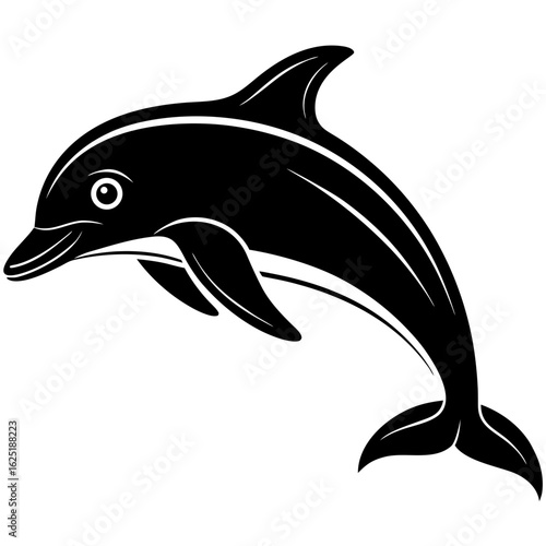 Conceptual Vector Design of Dolphin