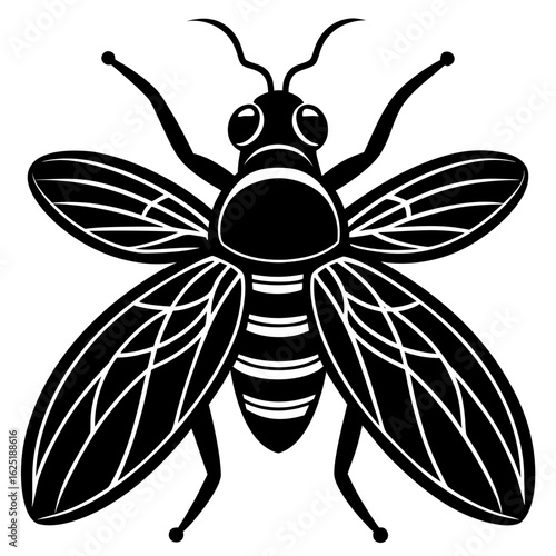 Conceptual Vector Design of Fly