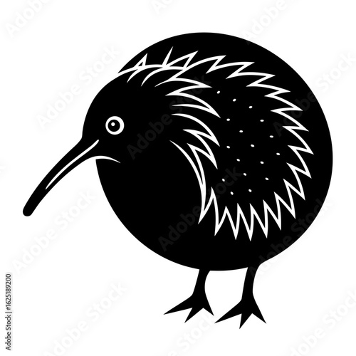 Conceptual Vector Design of Kiwi