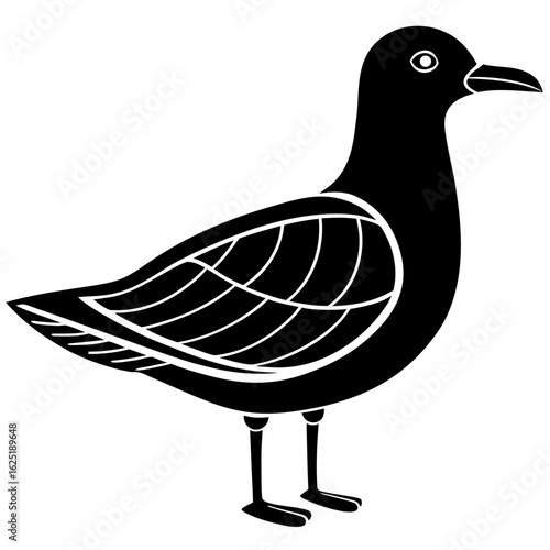 Conceptual Vector Design of Seagull
