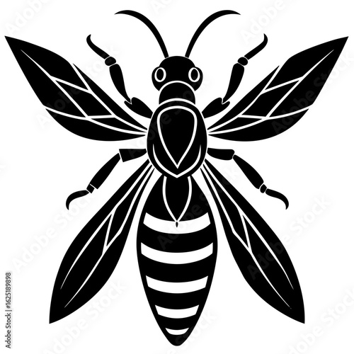 Conceptual Vector Design of Wasp