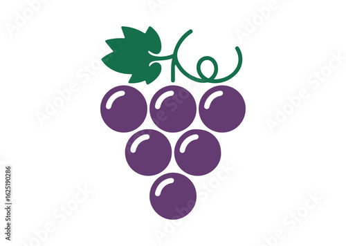 Grape Vector Illustration, Grape Icon