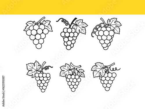A collection of six elegant grape cluster icons in a minimal line art style. Outline vector drawings for wine labels or natural food branding.