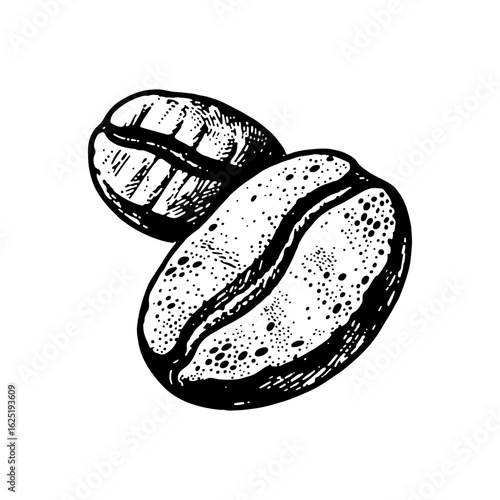 Close-up of two coffee beans, hand-drawn in black and white