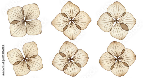 Seamless floral pattern with colorful butterflies, blossoms, and leaves