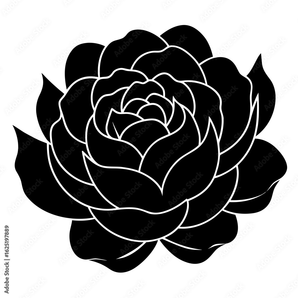 Obraz premium vector illustration of a rose