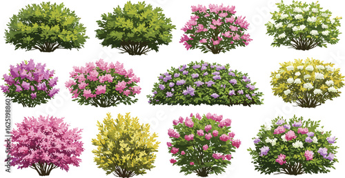 
Blooming Flowering Bushes, Garden Shrubs Collection, Decorative Landscape Plants, Spring Flowers Vector Set, Natural Foliage Illustration
