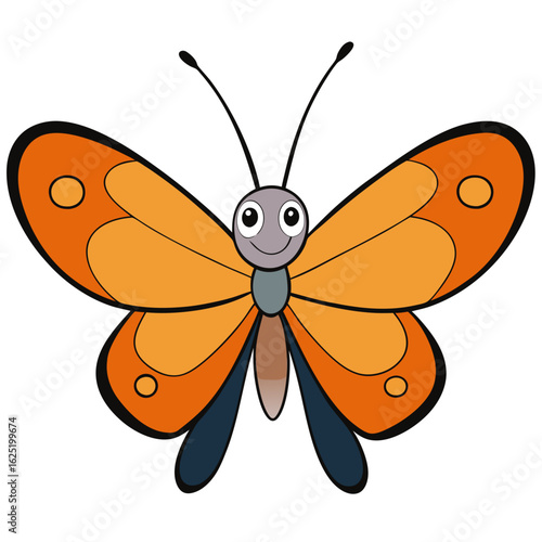 butterfly on white background