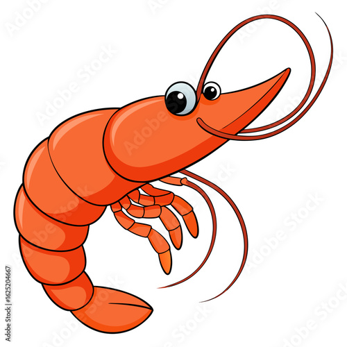 vector illustration of shrimp
