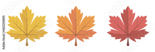 maple leaf, vector icons, red silhouette, silhouette, isolated clip art, flag elements, Canadian flag, app design, logo creation, mobile interface, UI icons, nature symbol, national emblem, mapl