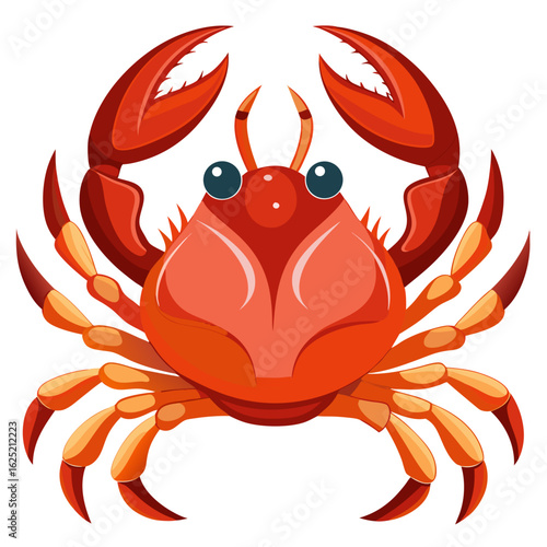 red crab on white background