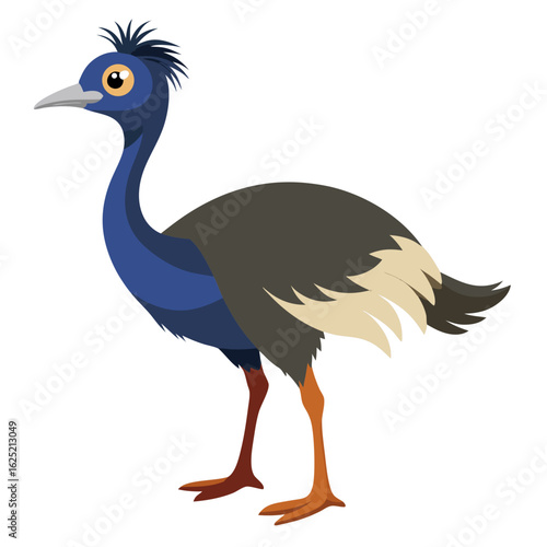 vector illustration of an ostrich