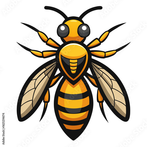 bee vector illustration