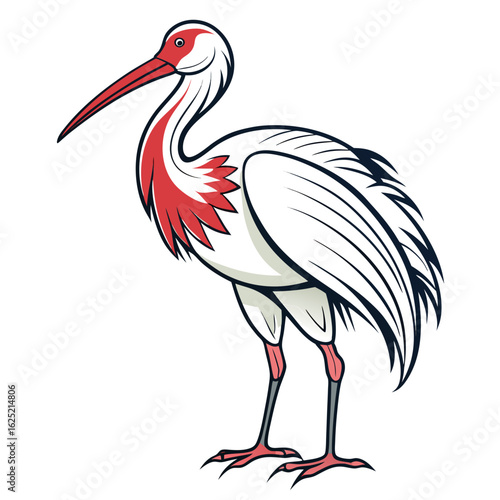 vector illustration of a stork