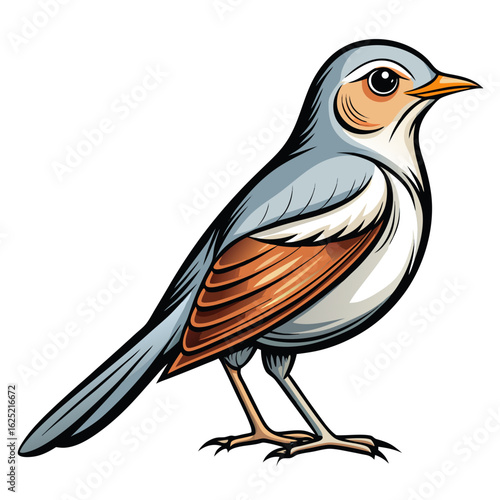 vector illustration of a bird