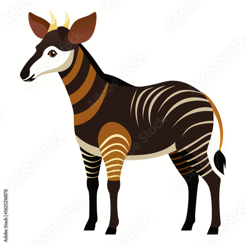 zebra vector illustration