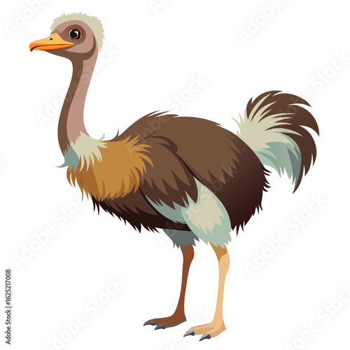 ostrich cartoon isolated on white