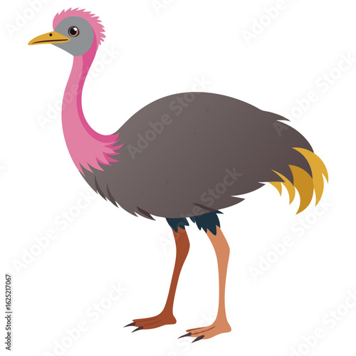 ostrich cartoon isolated on white