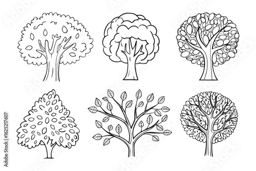 Assortment of Line Art Trees: A collection of line art illustrations showcasing diverse tree forms, highlighting the beauty and variety of nature's arboreal wonders. 