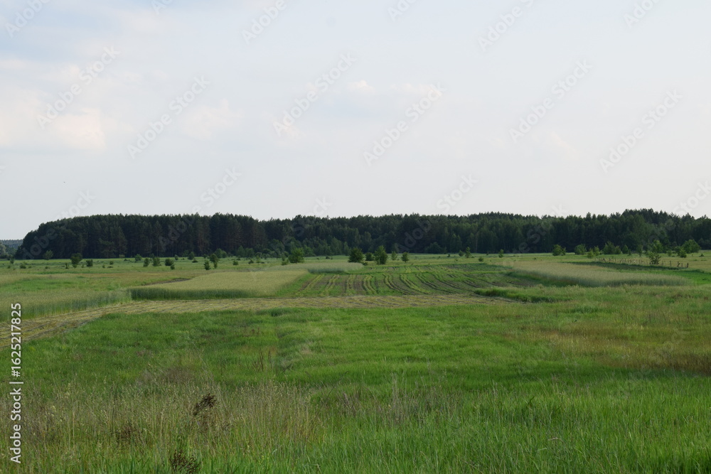 Scenic rural landscapes with meadows, fields, and dramatic skies. Natural countryside views of agriculture, forests, and changing weather Scenic rural landscapes with meadows, fields, and dramatic skies. Natural countryside views of agriculture, forests, and changing weather