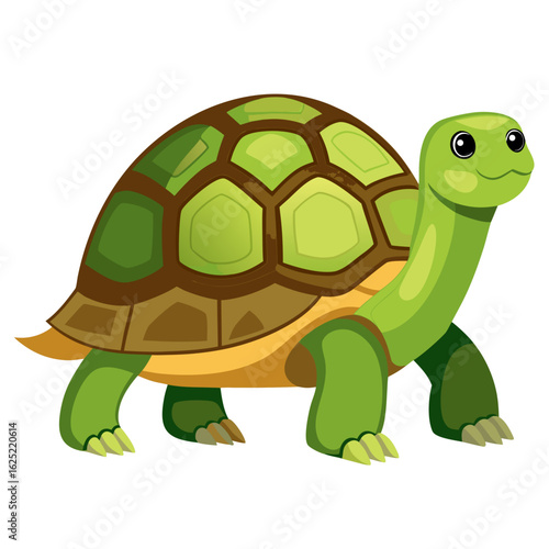 tortoise with a green leaf