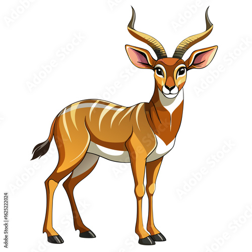 vector illustration of a deer
