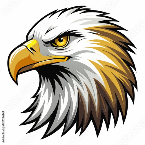 american bald eagle vector illustration