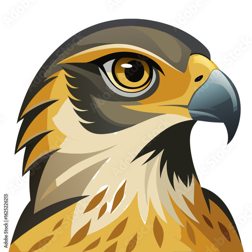 eagle head isolated on white
