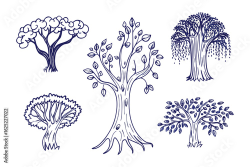Hand-drawn trees set: A set of intricate hand-drawn trees. A diverse array of arboreal forms, each meticulously crafted with elegant strokes and delicate detailing