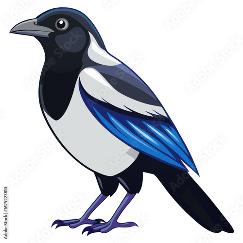 blue crow isolated on white background