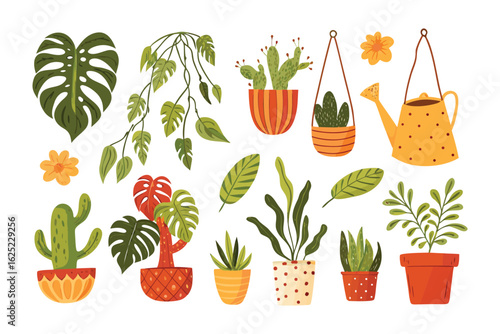 Vibrant Home Garden Collection: A curated assortment of thriving indoor plants showcases a variety of lush, lively foliage. This collection captures the essence of home decor.