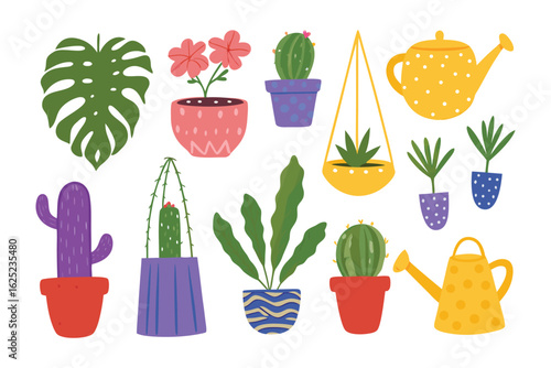 Assorted Houseplants and Garden Tools: a delightful collection of assorted potted plants and garden tools, presenting a vibrant showcase of natural beauty and a touch of whimsy.