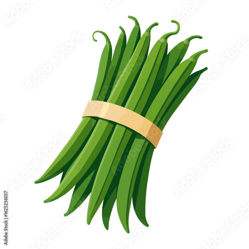 Bundle of Fresh Green Beans - Healthy and Crisp Vegetable