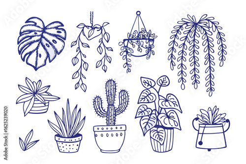 Botanical Harmony: An exquisite, illustrated collection of diverse indoor plants and their distinct foliage and charm, elegantly curated to bring a touch of nature's beauty indoors.
