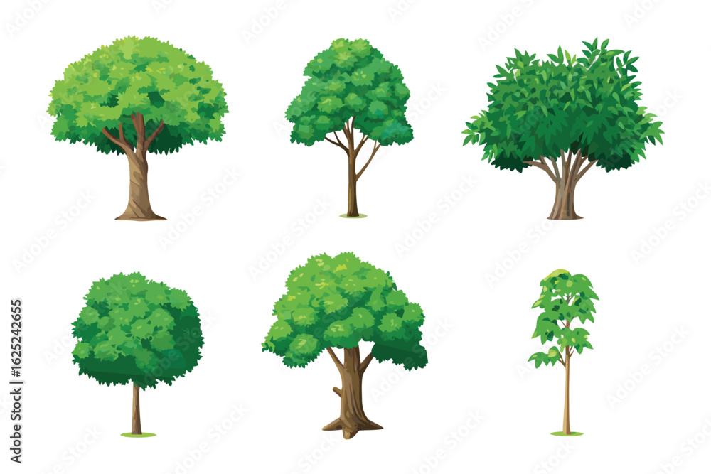 Fototapeta premium Variety of Trees: Showcasing a collection of diverse tree species, this image is a celebration of the natural world's arboreal diversity, perfect for illustrating the beauty of nature.