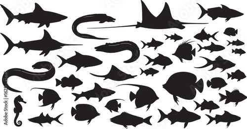 Extensive Collection of Black and White Silhouettes of Marine Animals and Fish marine life