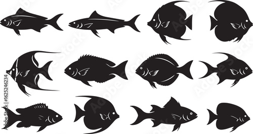 Silhouette collection of twelve diverse fish species on a white background black and white