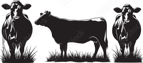 Three Black Silhouettes of a Cow Standing in Grass Front Side and Back Views cattle bovine