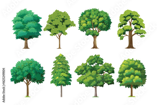Diverse Tree Collection: A vibrant collection of various tree species, showcasing lush green foliage and sturdy trunks, perfect for illustrating growth, nature, and botanical diversity.