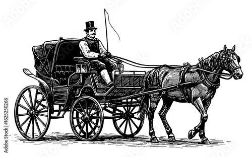 Elegant Horse Drawn Carriage with Coachman Black and White Outline Line Art Drawing Isolated Object