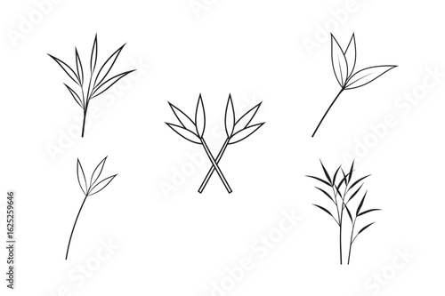 line art bamboo leaves set bundle on the white background