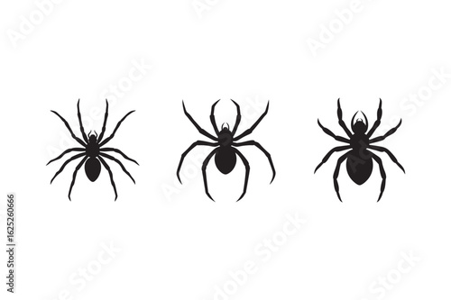 silhouette spider with small round body set on white background