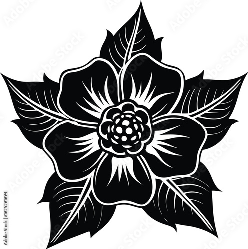 Cherokee rose black and white vetor