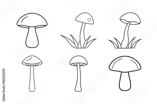 line art cluster of mushrooms growing together set bundle on the white background