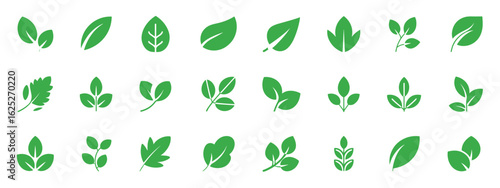 Collection of twenty minimalist green leaf icons on a white background leaves nature